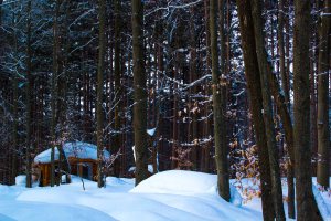 cabin in snow 
